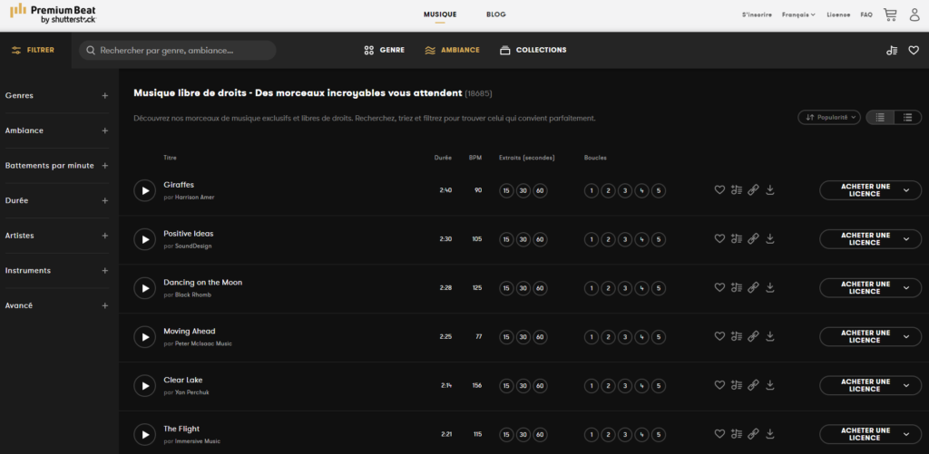 Image d'un site internet qui permet de trouver facilement des musiques libres de droits our sa vidéo mais payantes