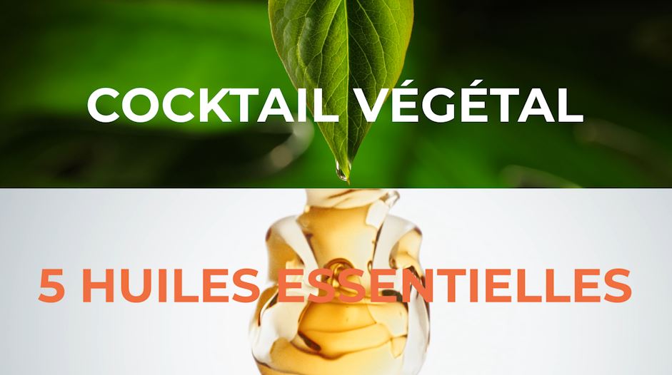 Maisons Pierre campagne vidéo sur les réseaux sociaux posts sponsorisés