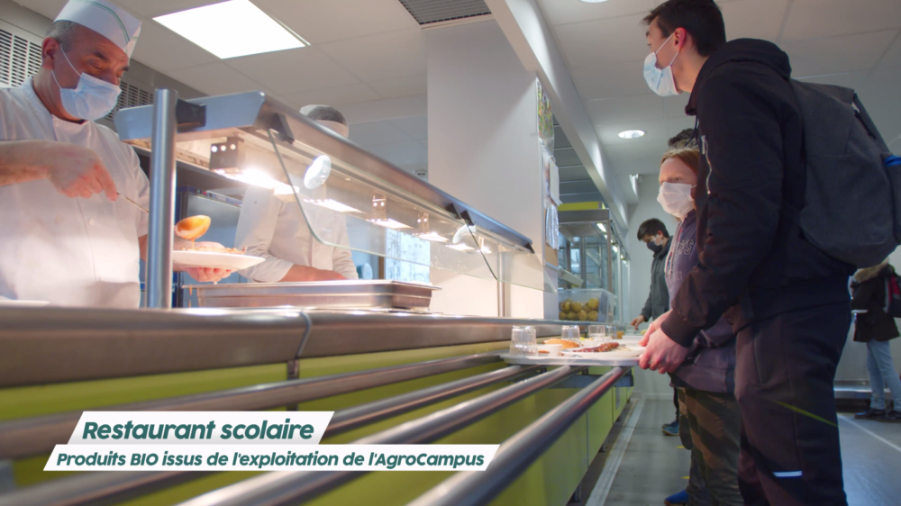 vignette lycee agricole 3