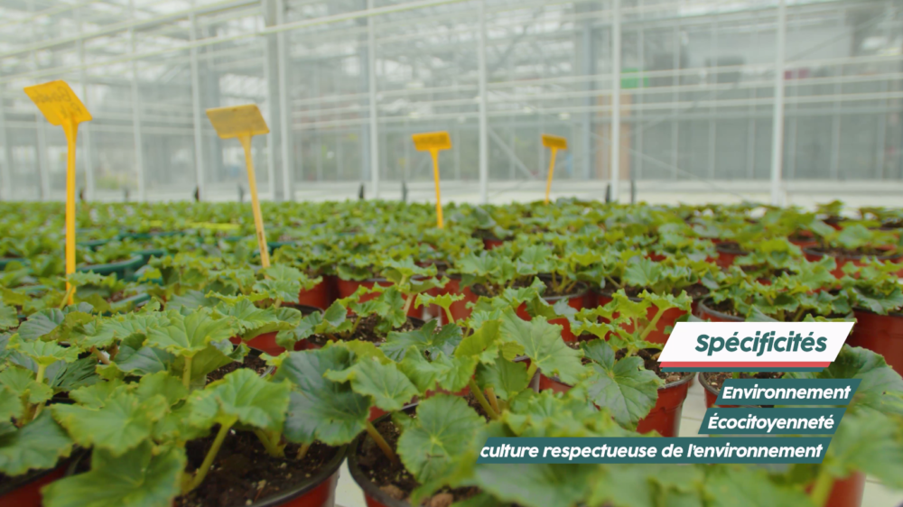 vignette lycee agricole 4