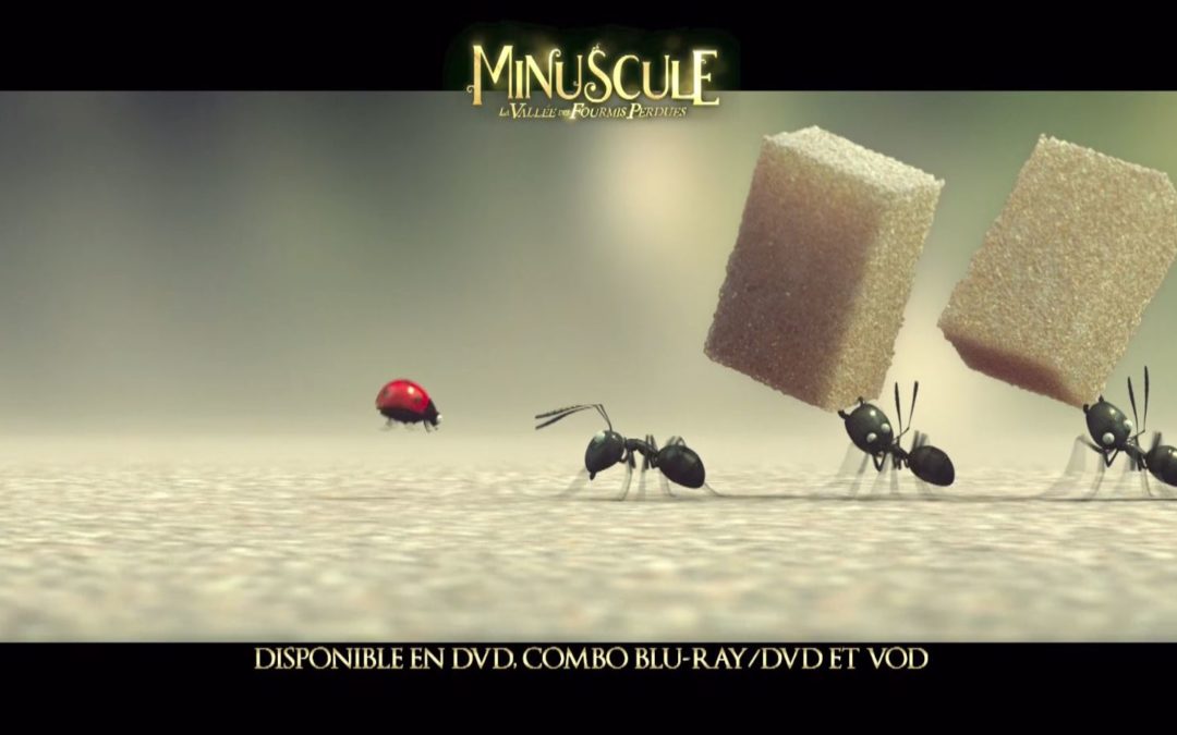 Showreel 2021 Publicité