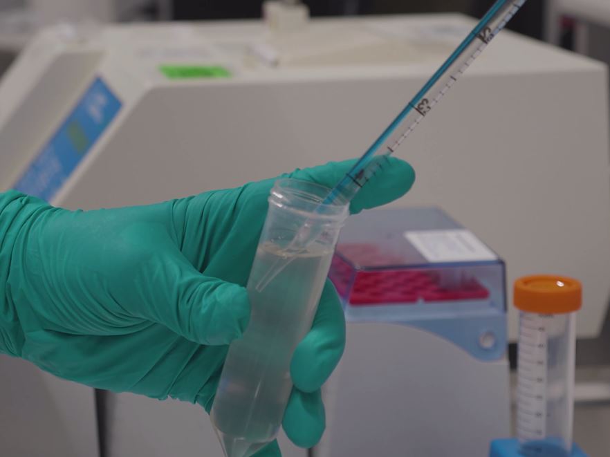 pass conseils tutos spam