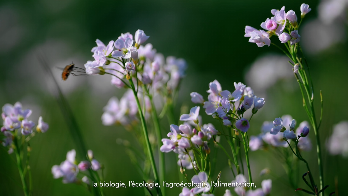 étapes d'entretien Morvan