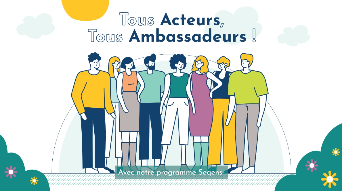 motion design capsules de seqens